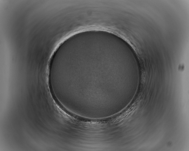 X0000101221508200806271434