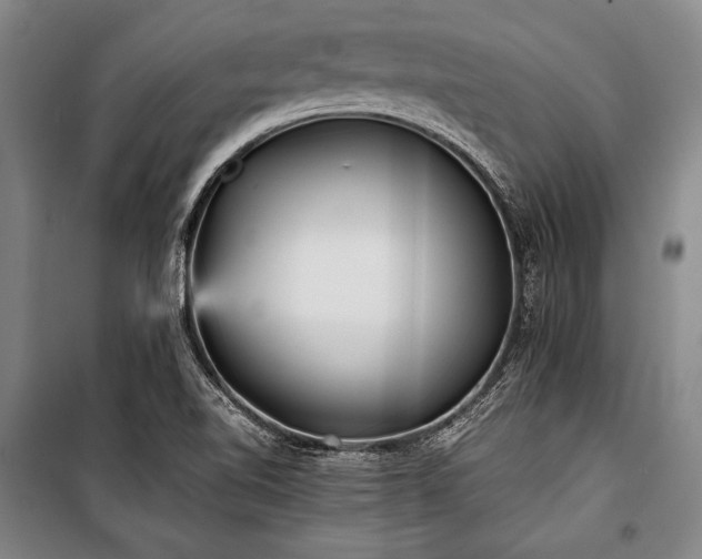 X0000101221510200806271434