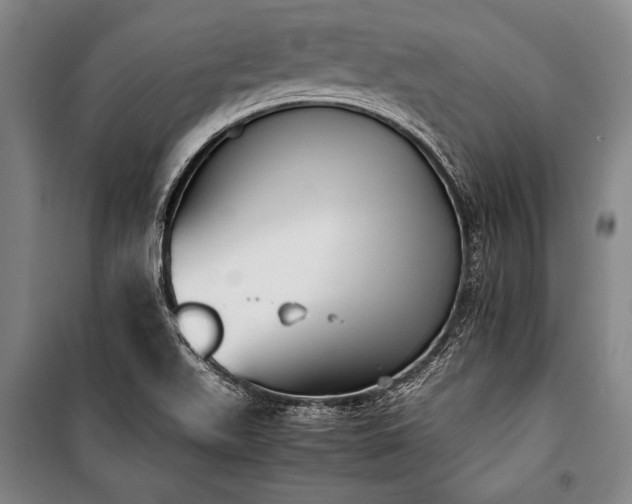 X0000101221511200806271435