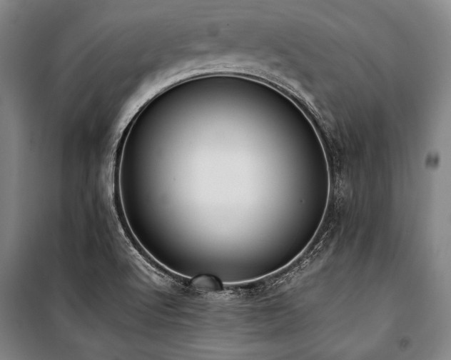 X0000101221512200806271435