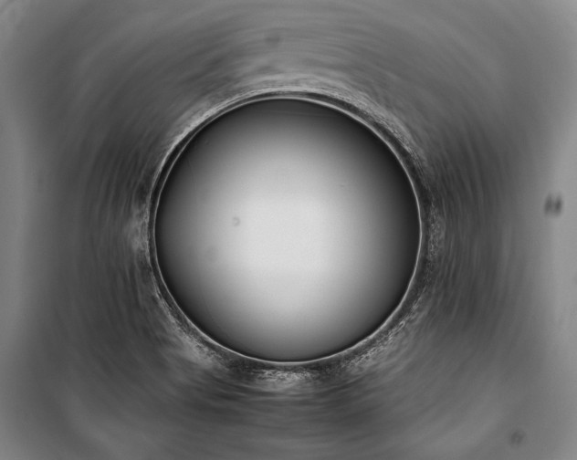 X0000101221513200806271435