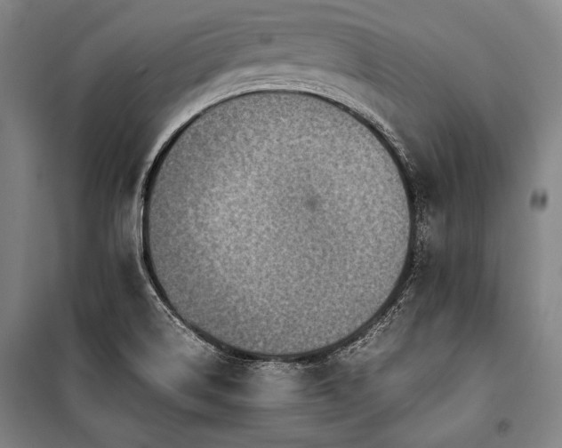 X0000101221514200806271435