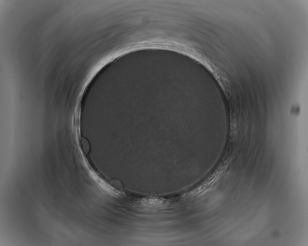 X0000101221515200806271435
