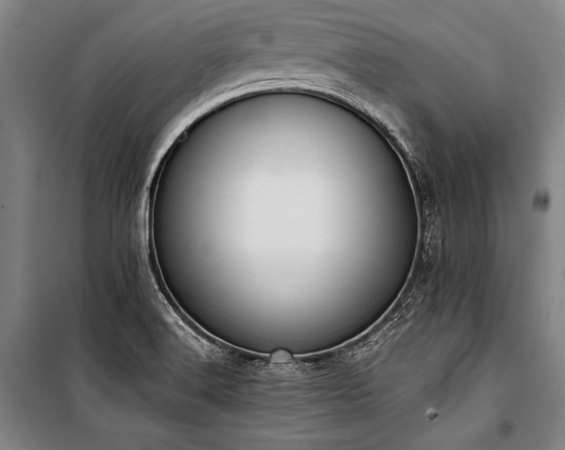 X0000101221516200806271435