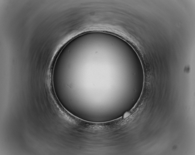 X0000101221517200806271435