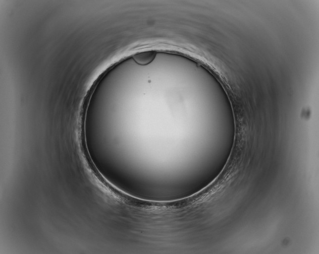X0000101221518200806271435