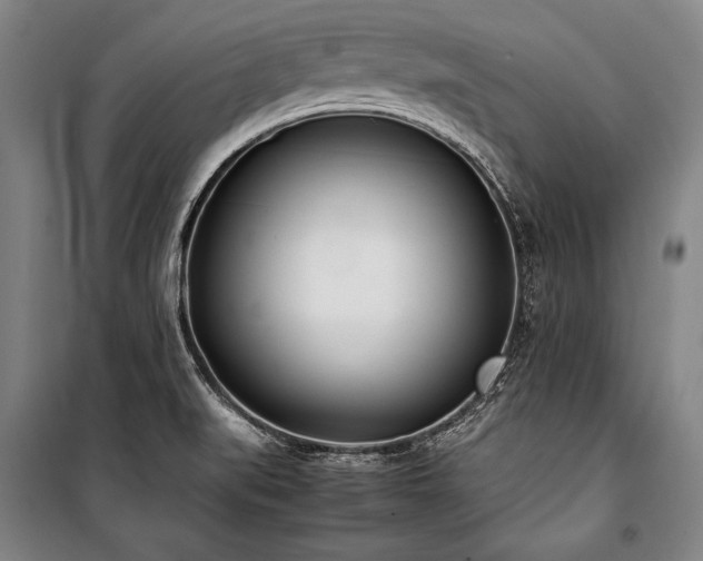 X0000101221519200806271435