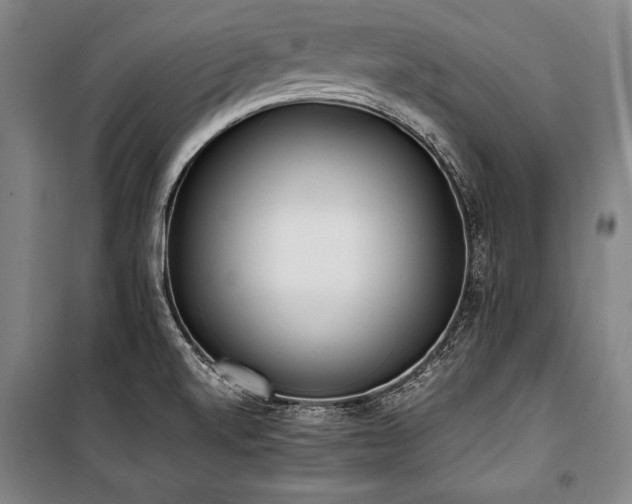 X0000101221520200806271435