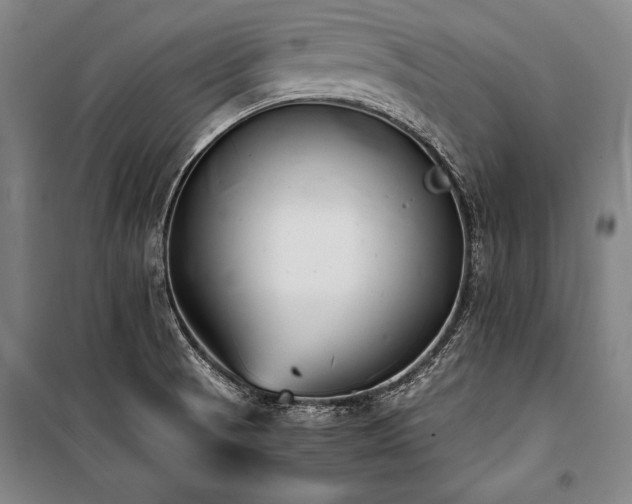 X0000101221521200806271435