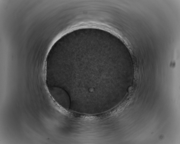 X0000101221522200806271435