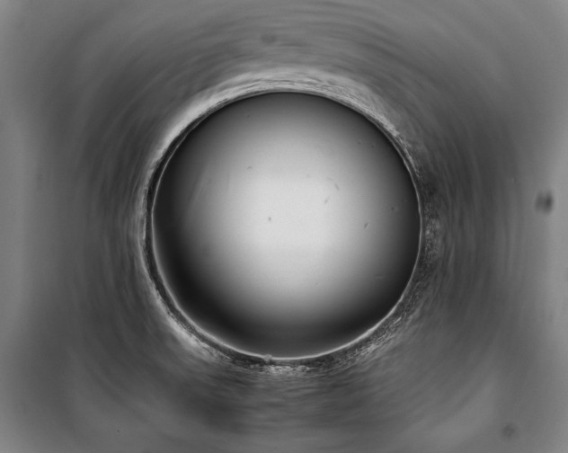 X0000101221523200806271435