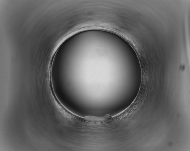 X0000101221524200806271435