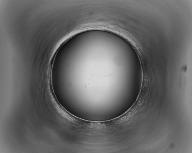 X0000101221526200806271435