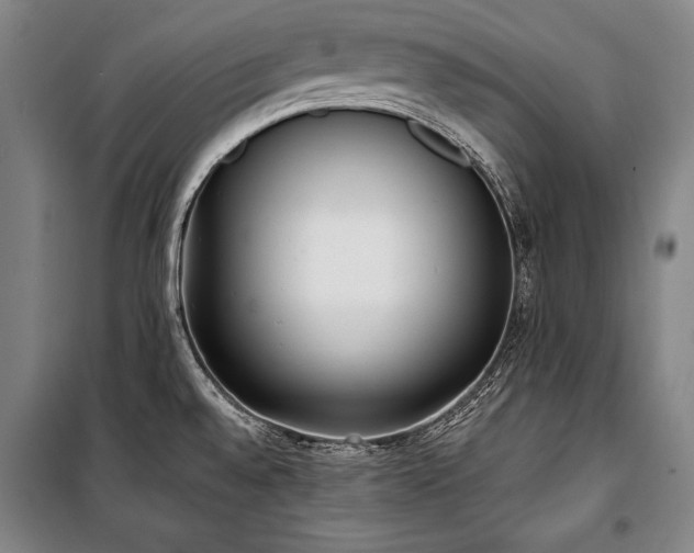 X0000101221528200806271435