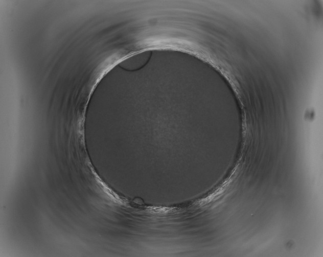 X0000101221529200806271435