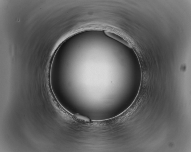 X0000101221530200806271435