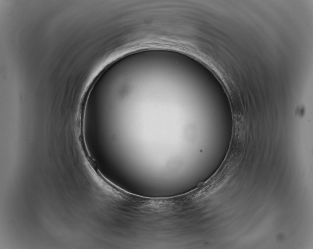 X0000101221531200806271435