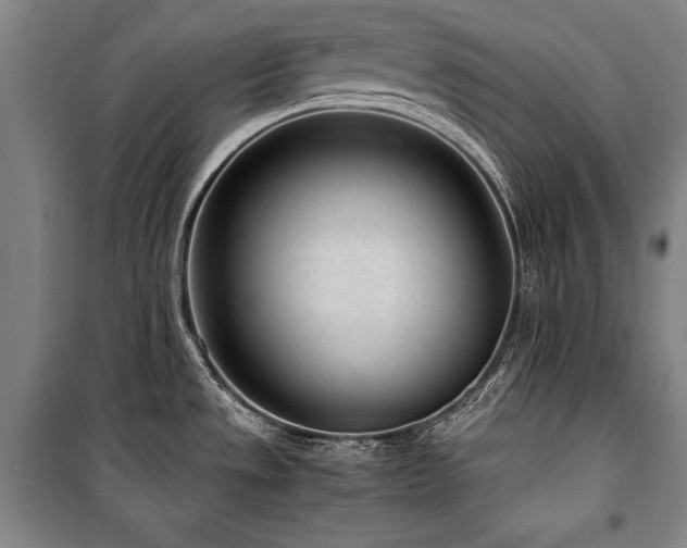 X0000101221533200806271435