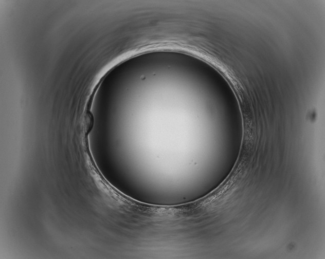 X0000101221534200806271435