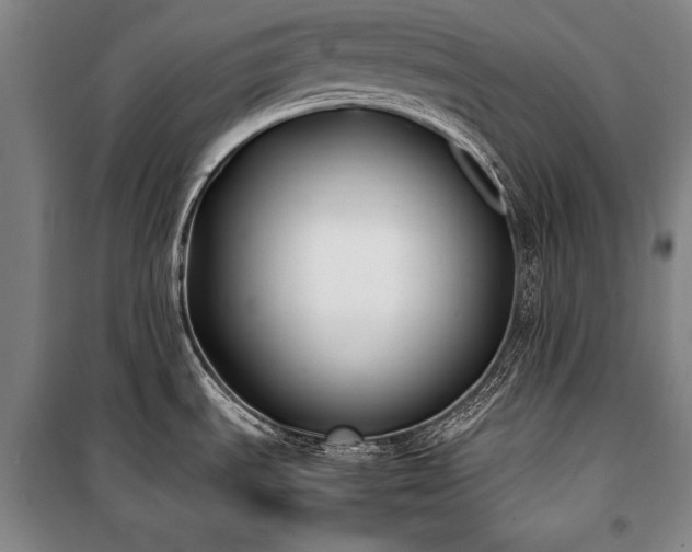 X0000101221535200806271435