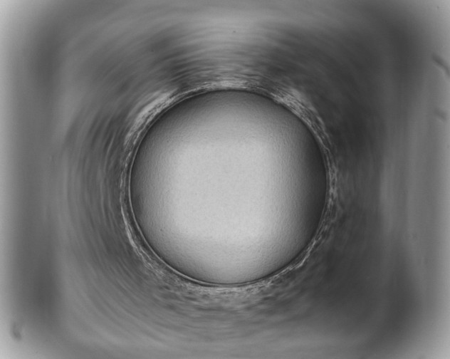 X0000101220001200807071358