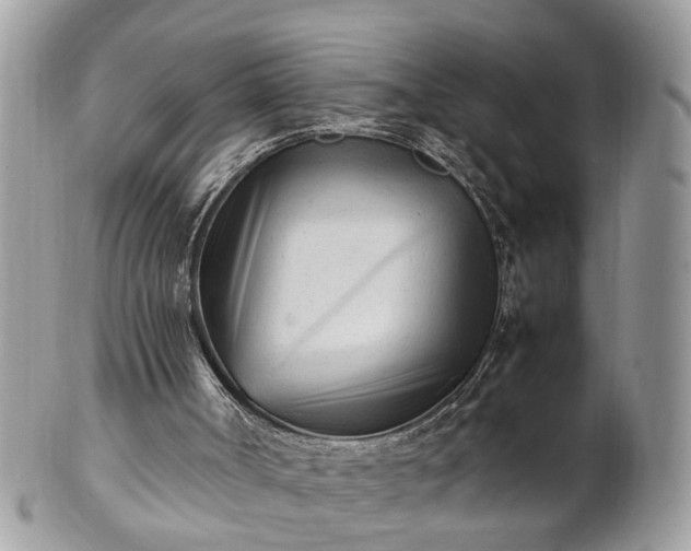 X0000101220002200807071358
