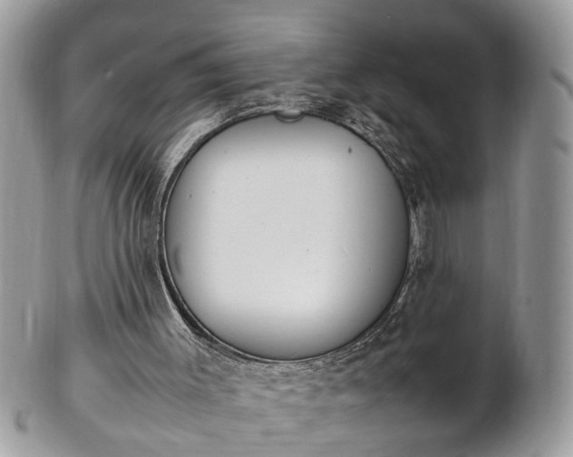 X0000101220003200807071358