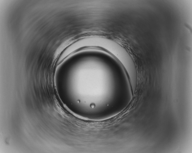 X0000101220004200807071358