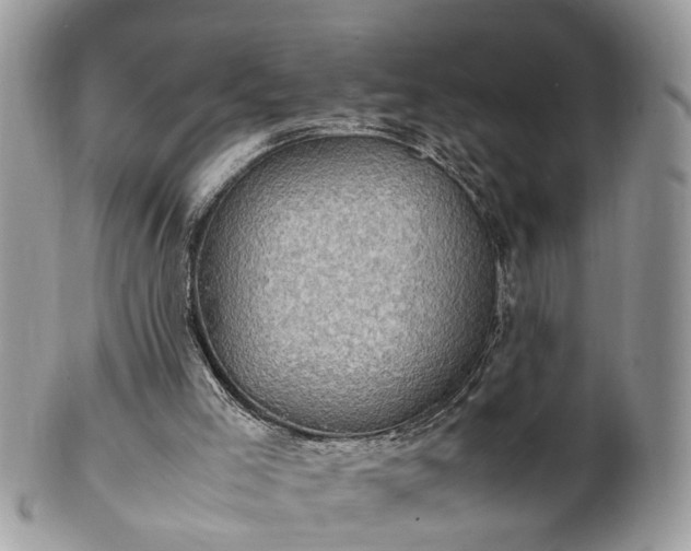 X0000101220005200807071358
