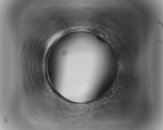 X0000101220006200807071358