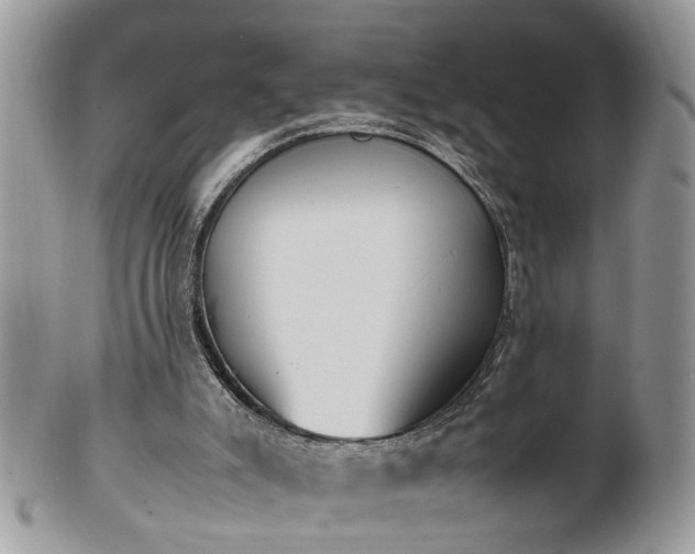 X0000101220007200807071358