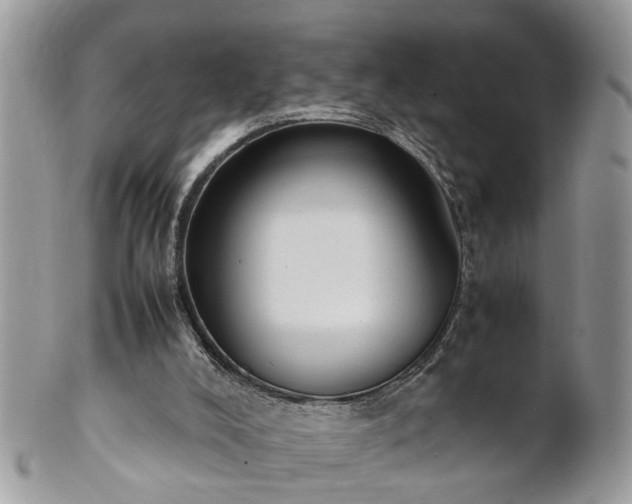 X0000101220008200807071358