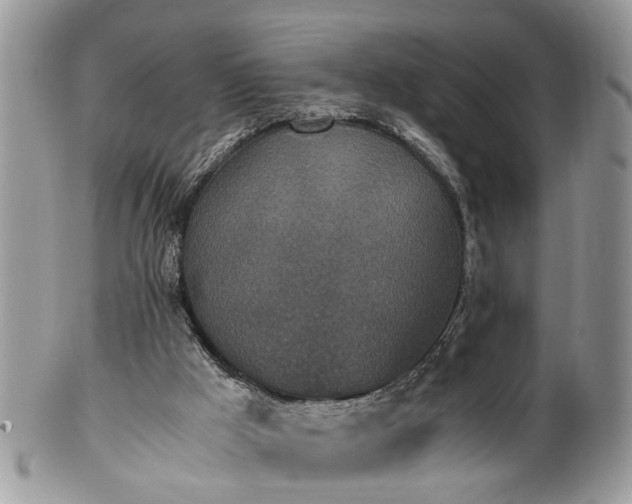 X0000101220009200807071358