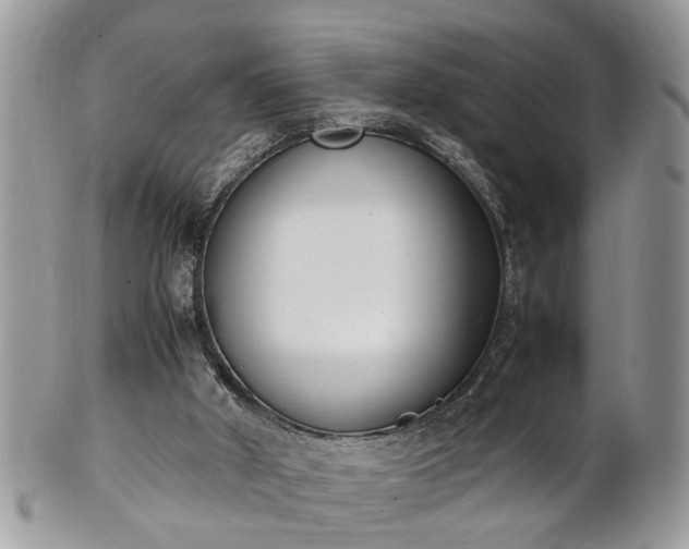 X0000101220010200807071358