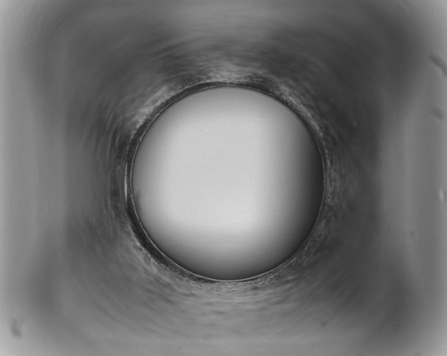 X0000101220011200807071358