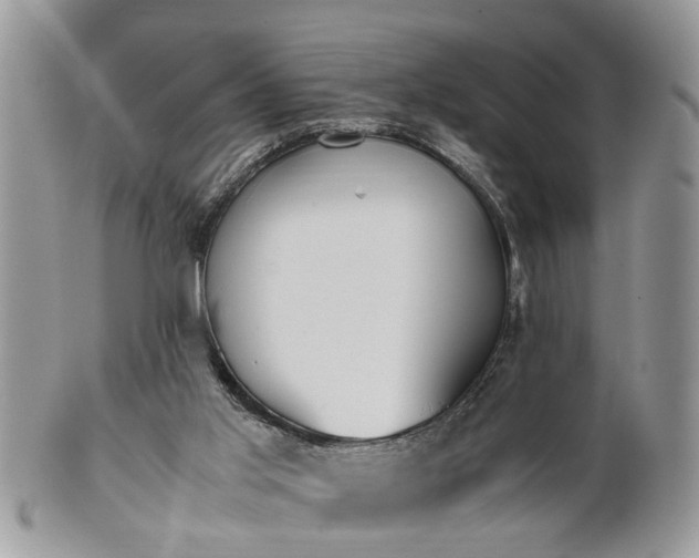 X0000101220013200807071358