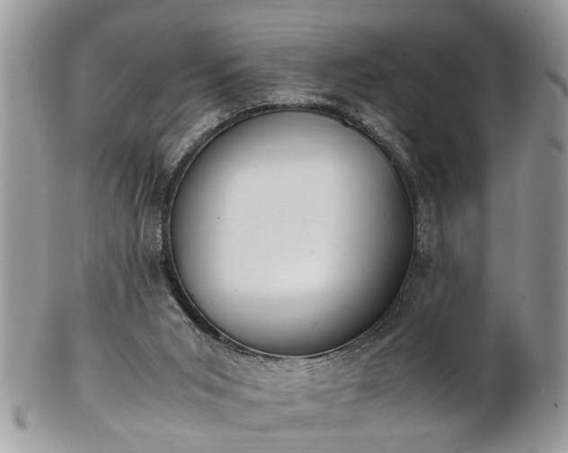 X0000101220015200807071358