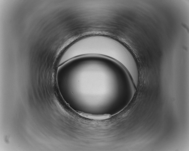 X0000101220016200807071358