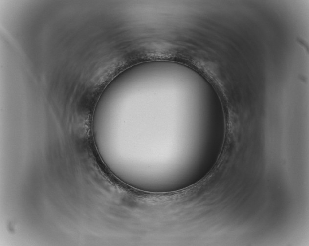 X0000101220017200807071358
