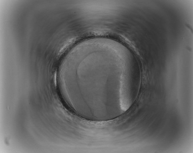 X0000101220019200807071358