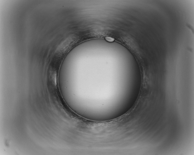 X0000101220021200807071358