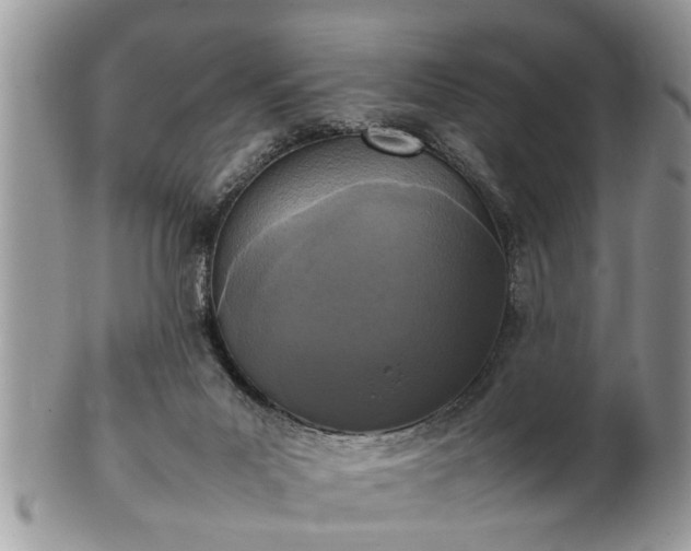 X0000101220023200807071358