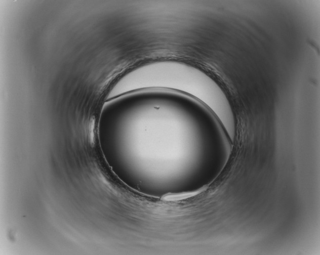 X0000101220024200807071358