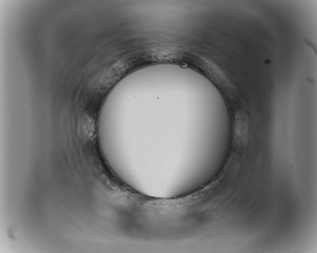 X0000101220025200807071358