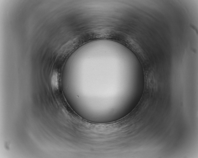 X0000101220026200807071358