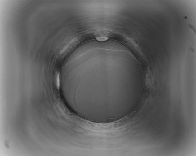 X0000101220027200807071358