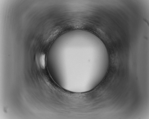 X0000101220028200807071358