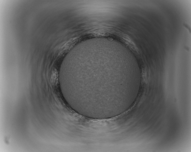 X0000101220029200807071358