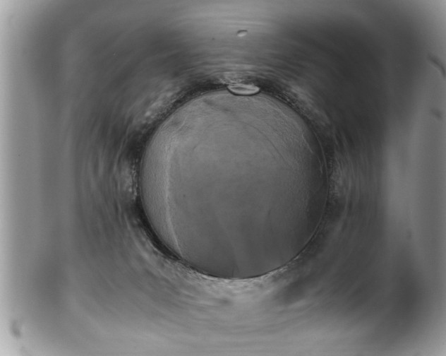 X0000101220031200807071358