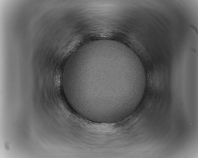 X0000101220032200807071358